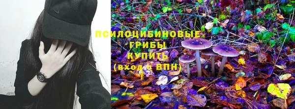 ALPHA PVP Киреевск