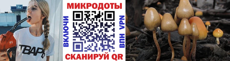 Псилоцибиновые грибы мицелий  Купить где  Бабушкин 